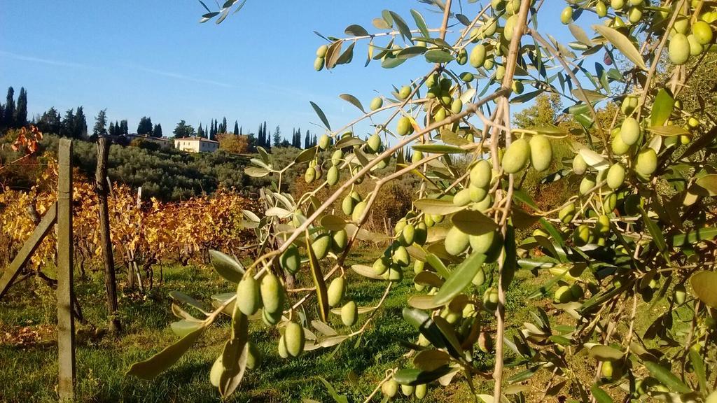 Fattoria Di Mugnano Villa Colle Val D'Elsa Exteriör bild