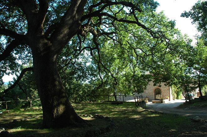 Fattoria Di Mugnano Villa Colle Val D'Elsa Exteriör bild